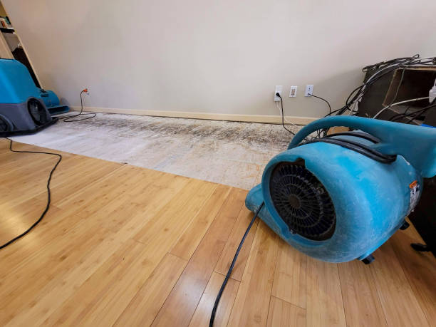 Professional Water Damage Repair technician working in Milford, IN